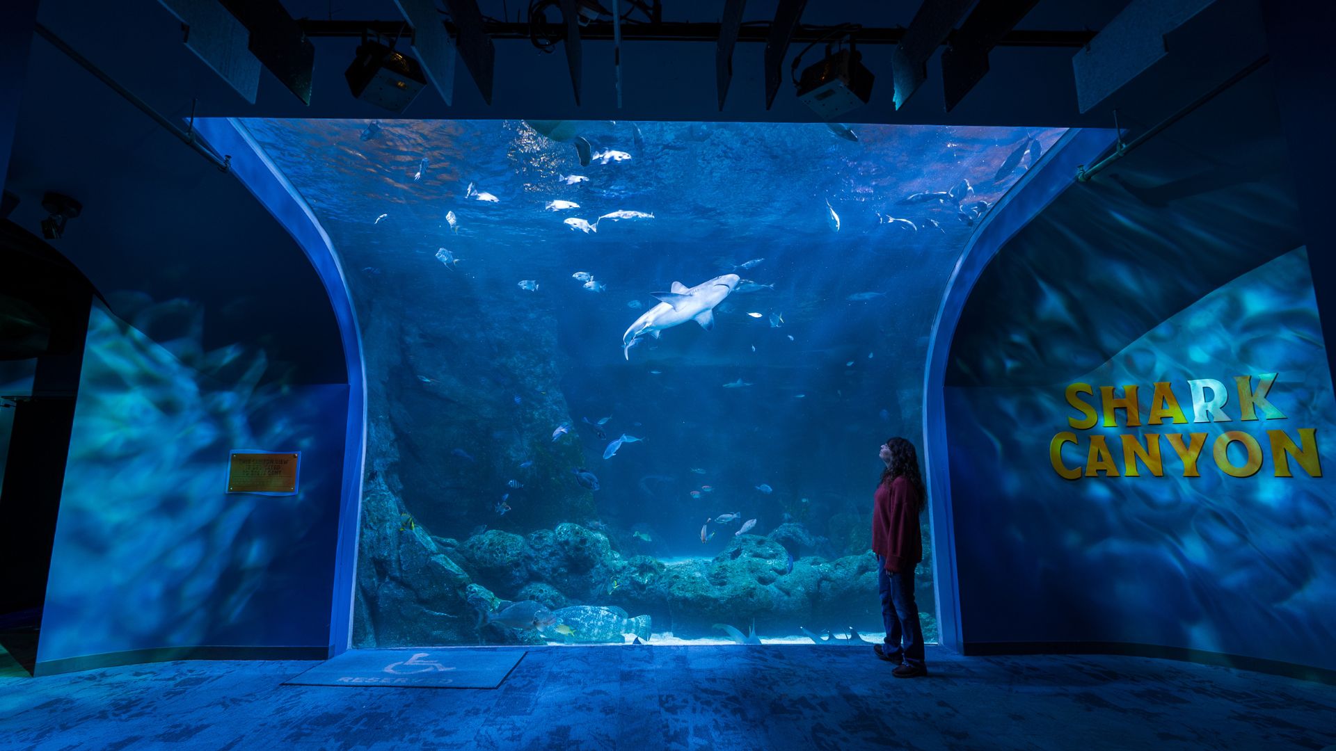 Family-Friendly Things to Do in St. Louis